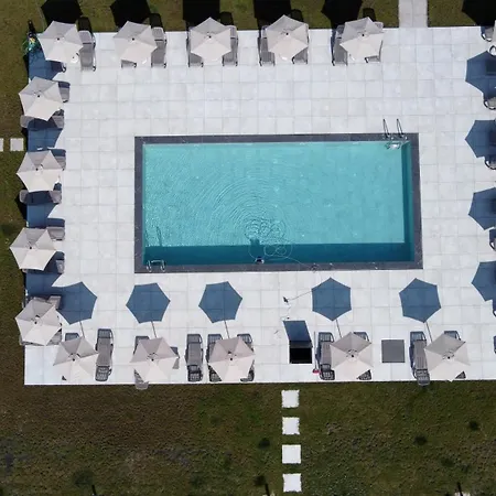 Colori * Tsigov Chark